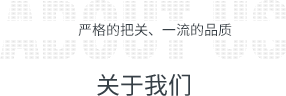 企业概况栏目标题图